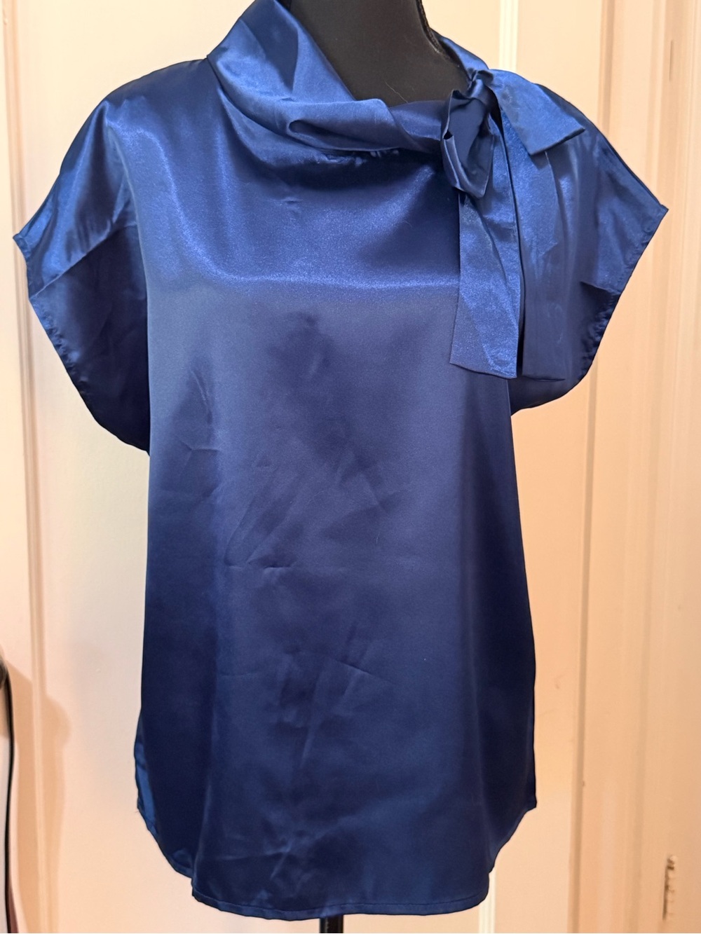 NWOT Classic Satin Tie-Neck Blouse - Blue